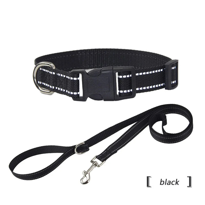 collier et laisse assorti pour chien