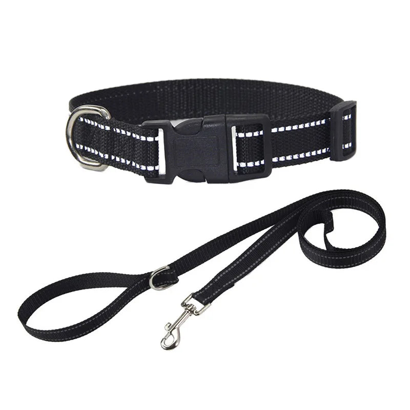 collier et laisse assorti pour chien