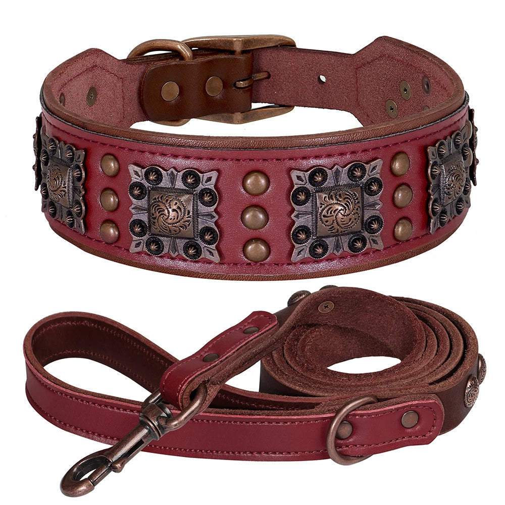collier et laisse avec bouton pour chien