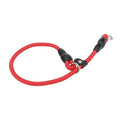 laisse petit chien etrangleur
