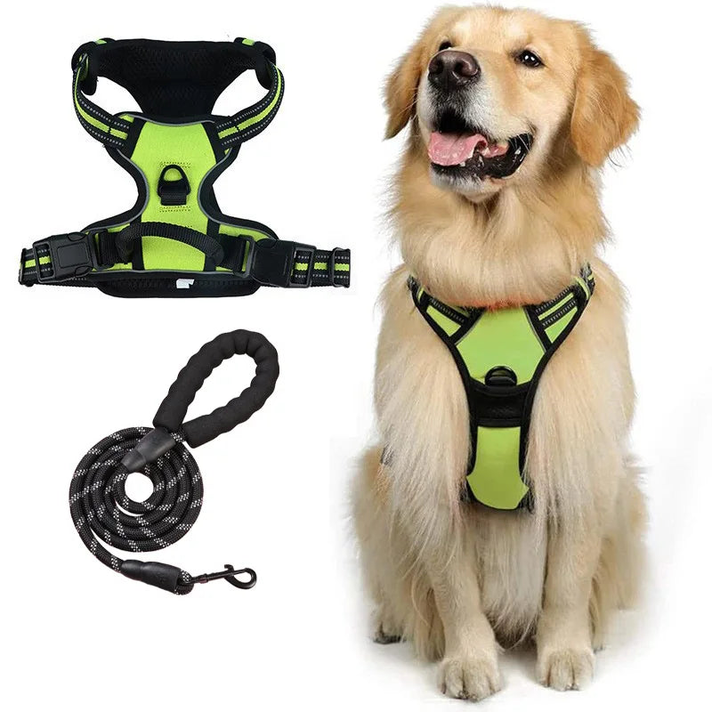 laisse harnais pour chien