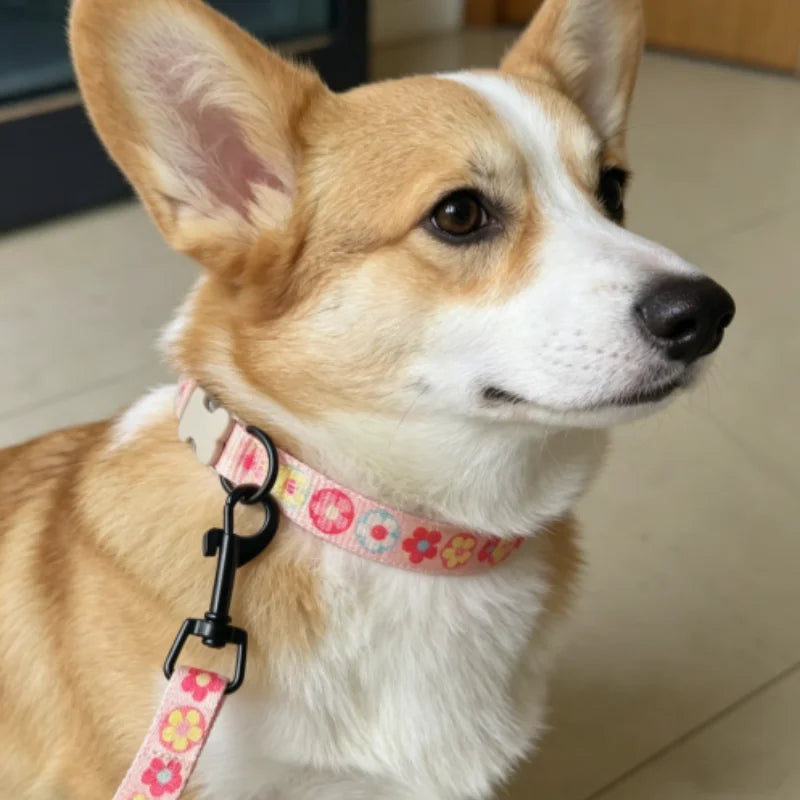 laisse pour chien dessin