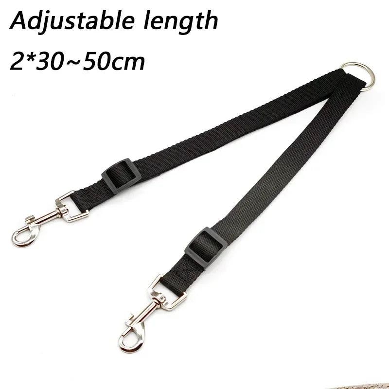 laisse 2 accroche pour chien