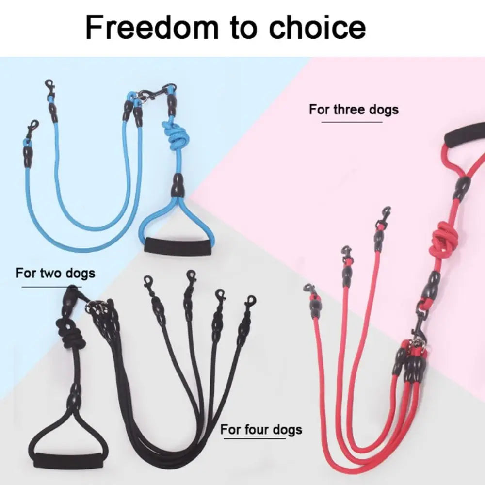 laisse pour 4 chien