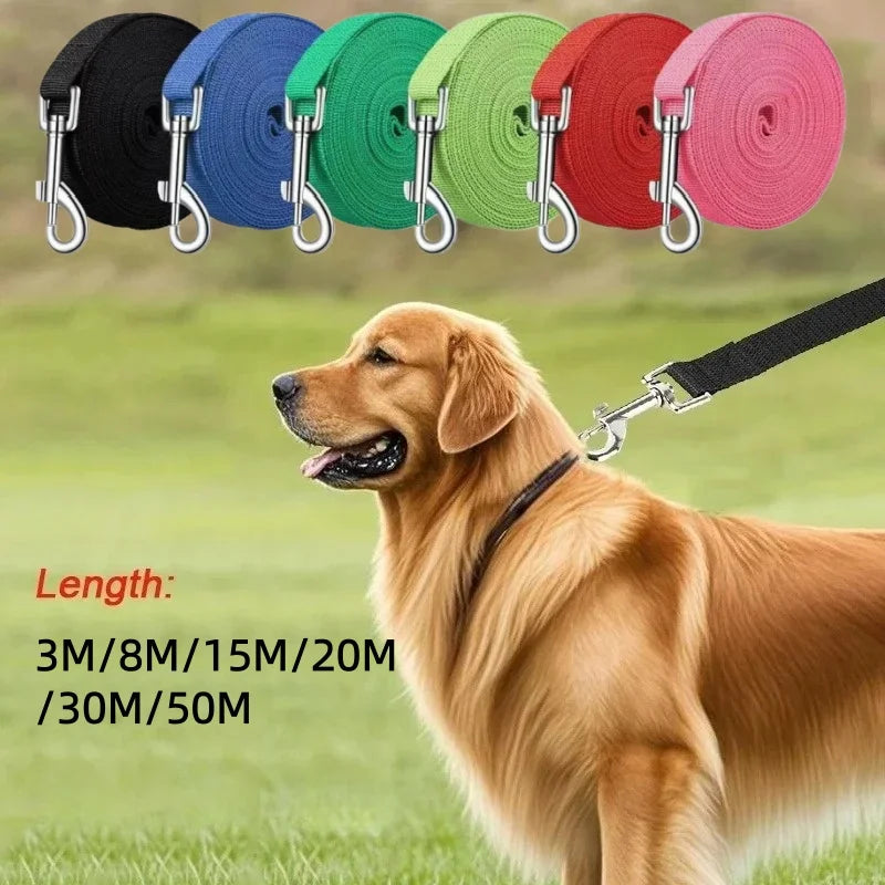 laisse 8 m pour chien