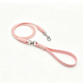 laisse pour chien spitz nain