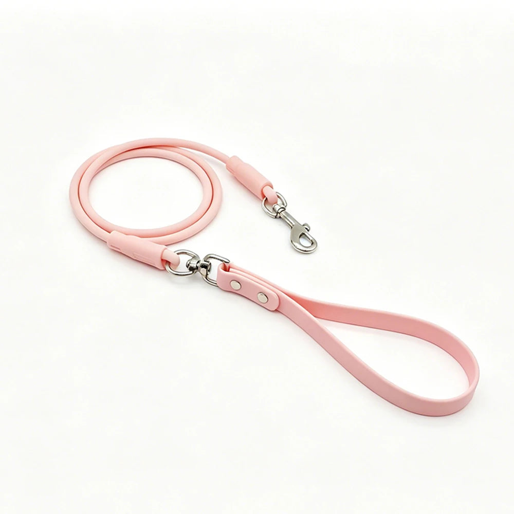 laisse pour chien spitz nain