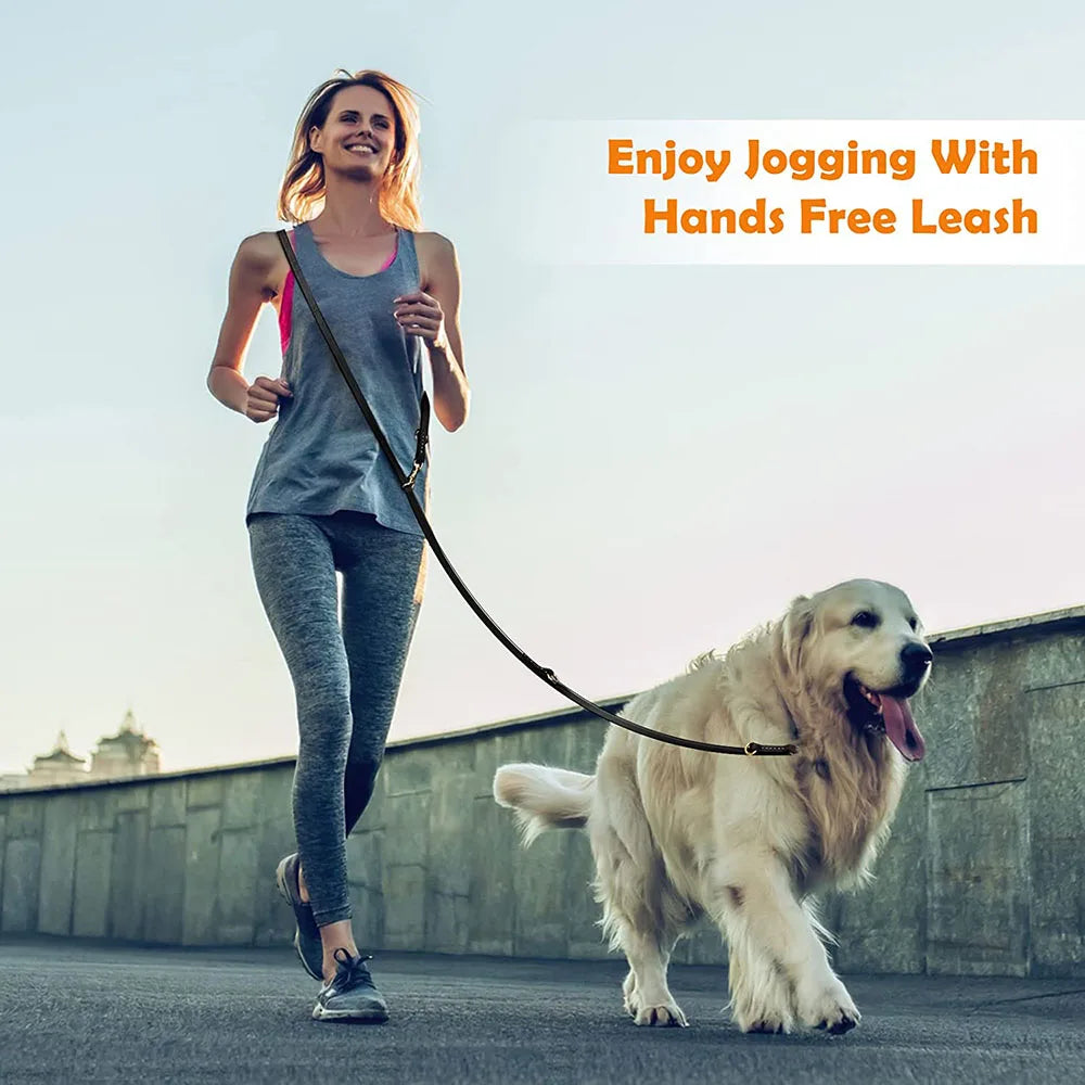 laisse en cuir multiposition chien