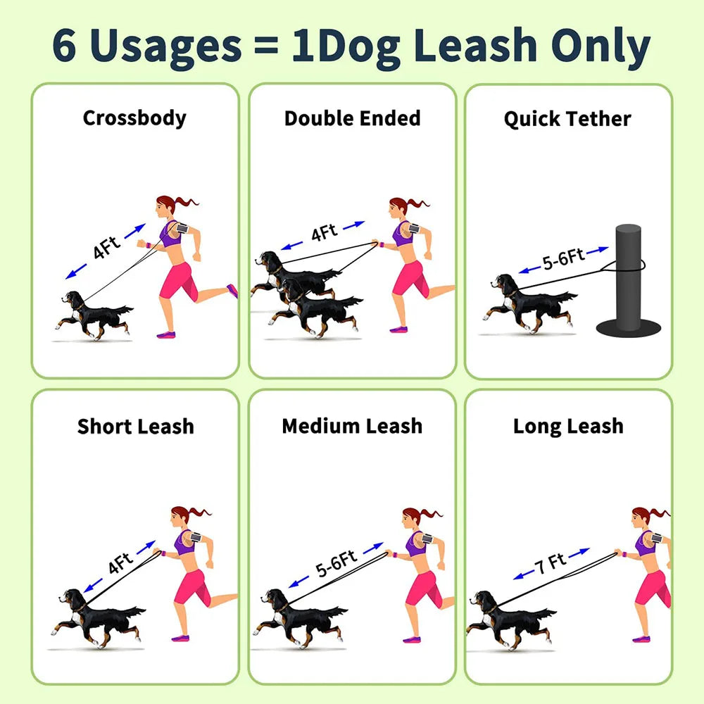 laisse en cuir multiposition chien