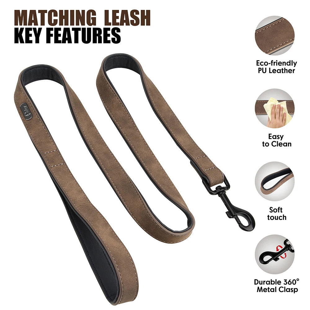 laisse et collier en cuir pour chien