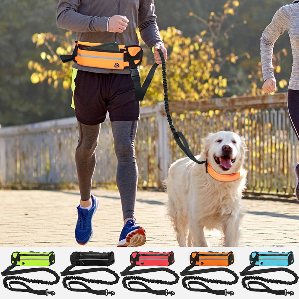 laisse pour courir pour chien