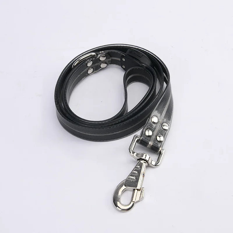 collier et laisse lumineuse pour chien