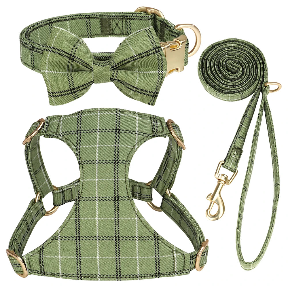 collier et laisse pour chien girly