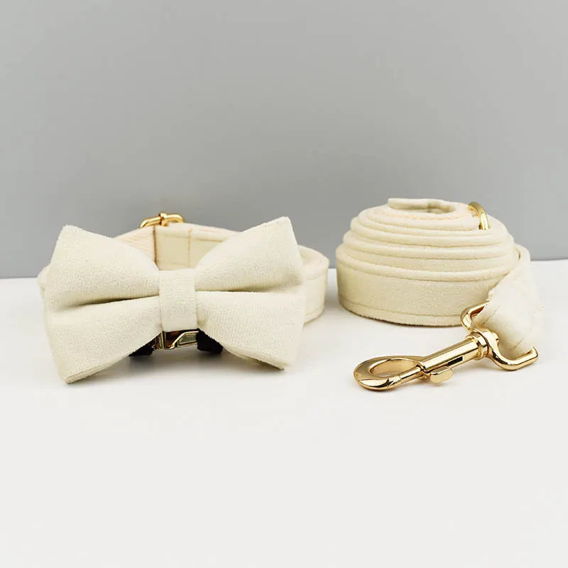 collier et laisse pour chihuahua