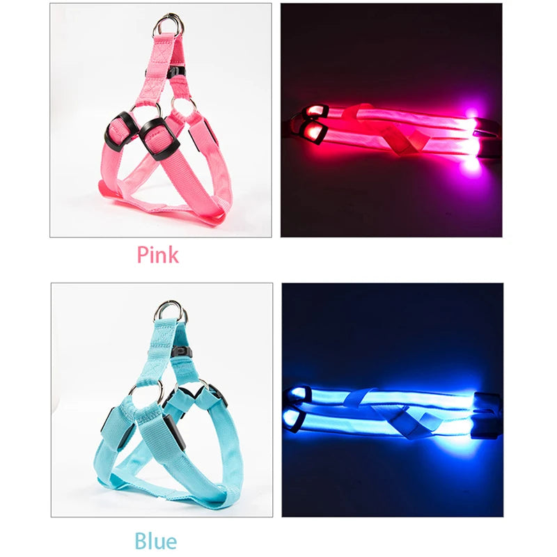 harnais et laisse led pour chien