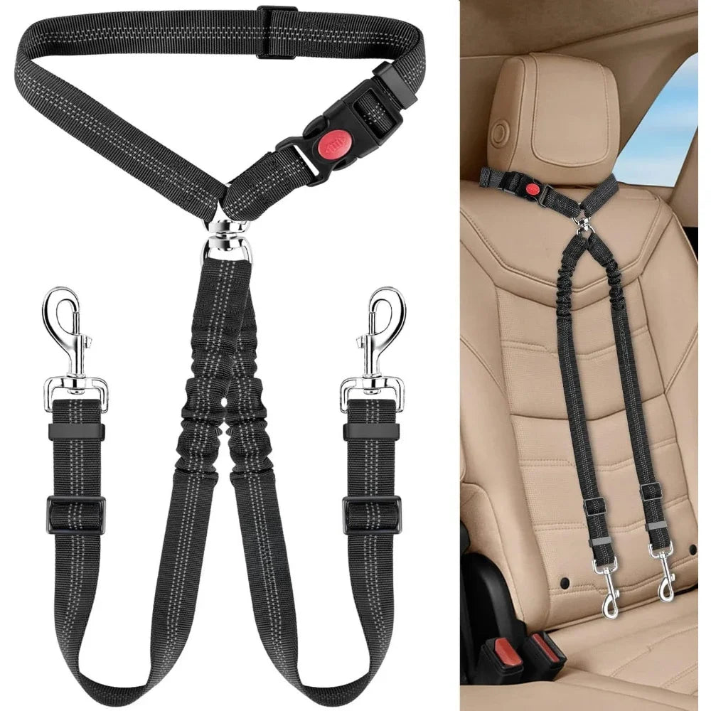 laisse ceinture retractable pour deux petit chien