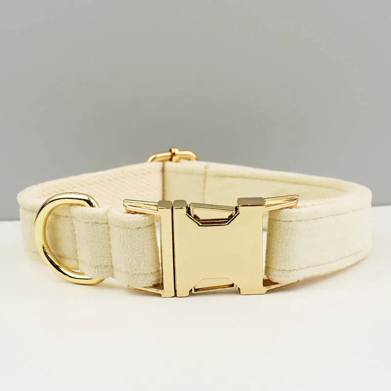 collier et laisse pour chihuahua