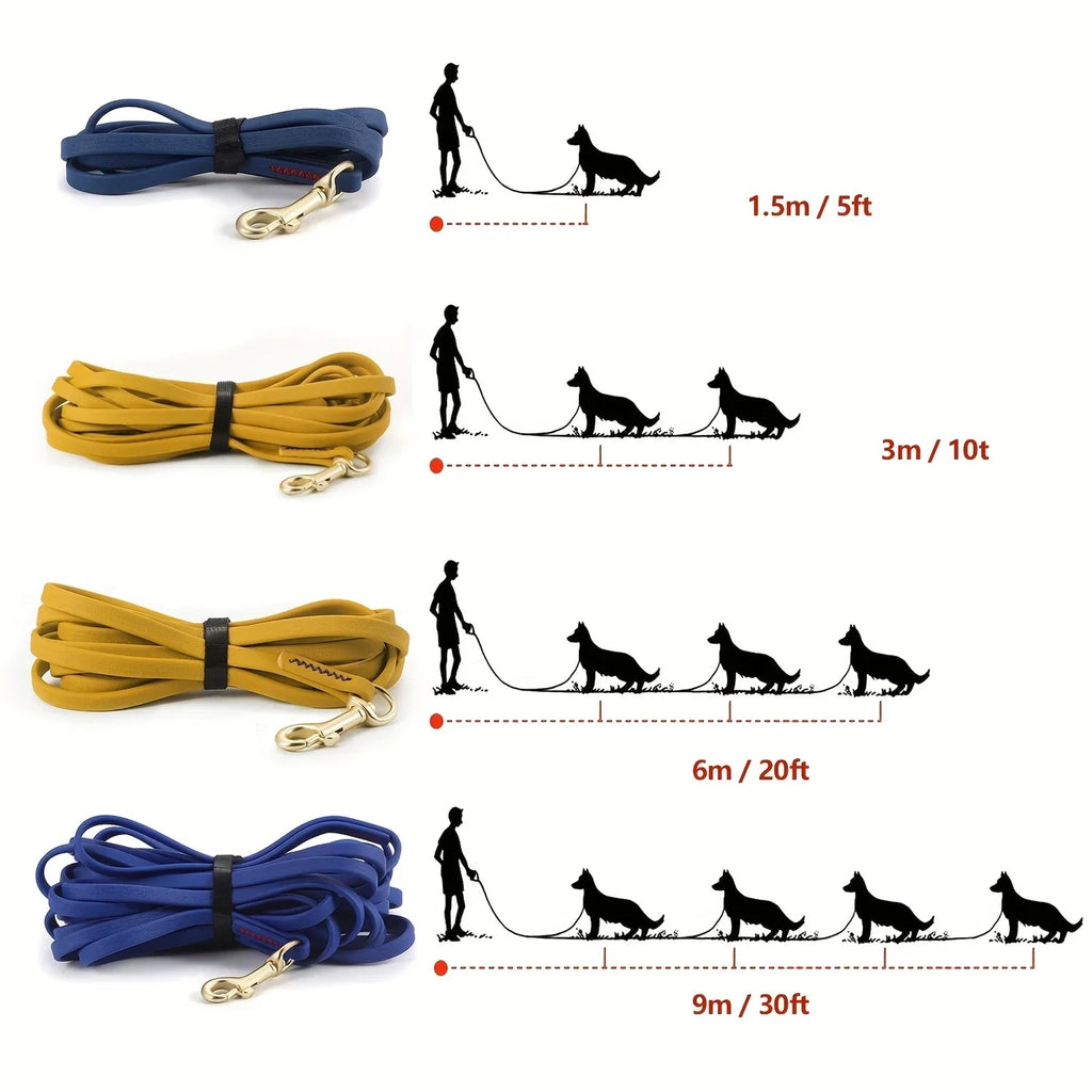 laisse pour chien jaune