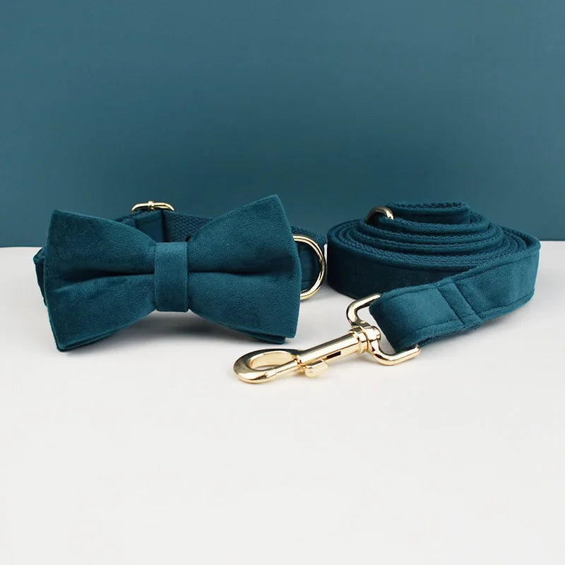 collier et laisse pour chihuahua