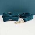 collier et laisse pour chihuahua