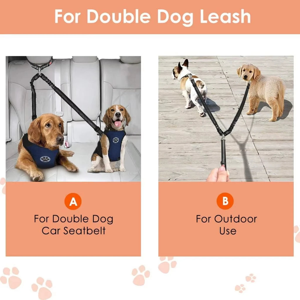 laisse ceinture pour 2 chien
