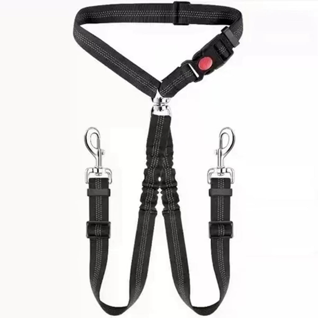 laisse ceinture pour 2 chien