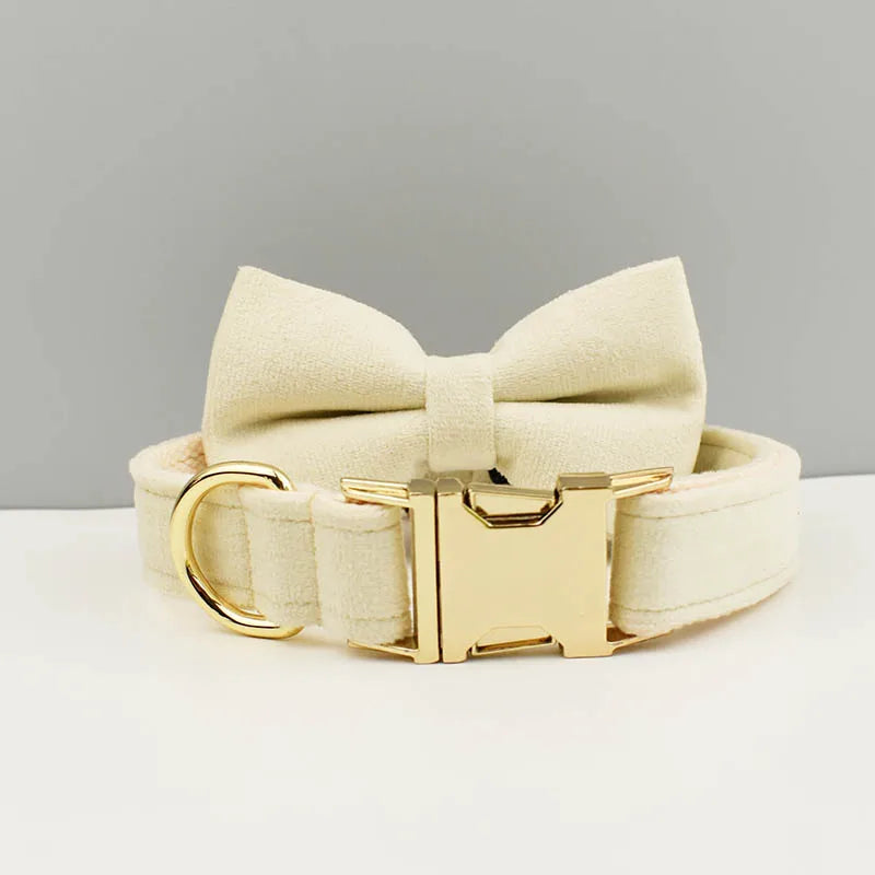 collier et laisse pour chihuahua