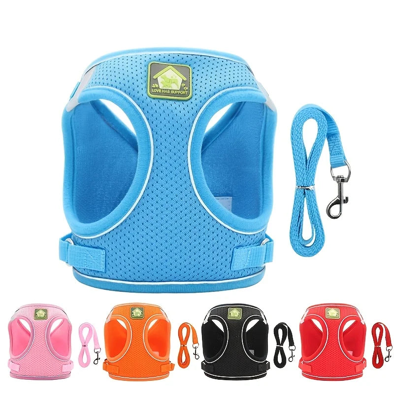 harnais laisse kit assorti pour petit chien