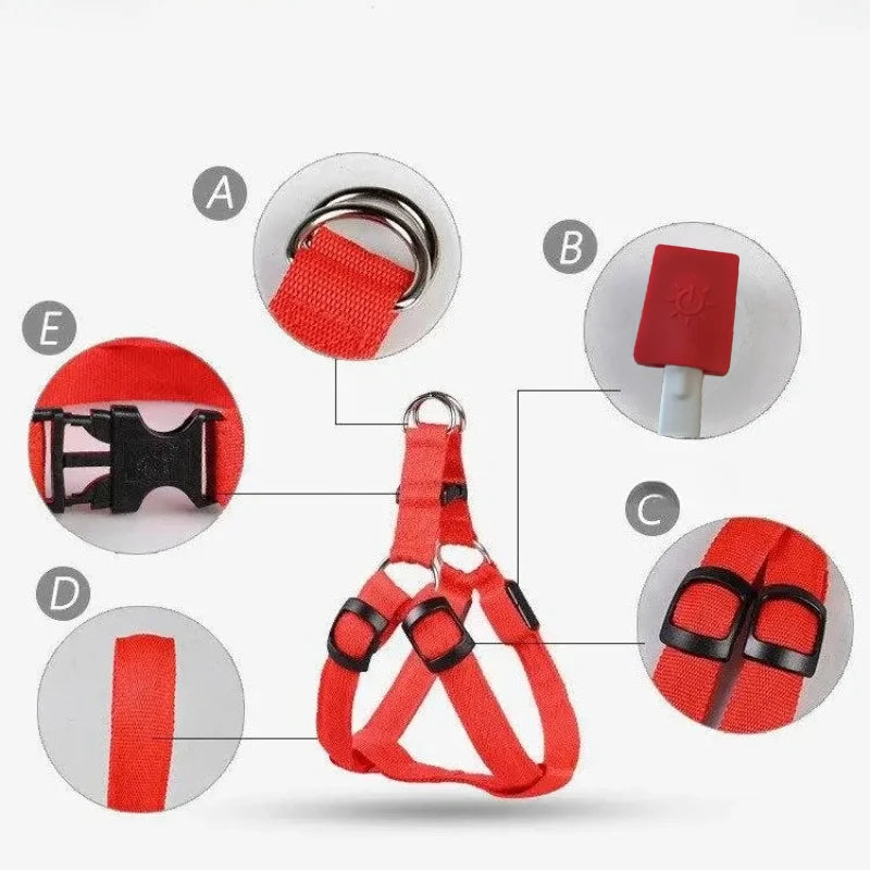 harnais et laisse led pour chien