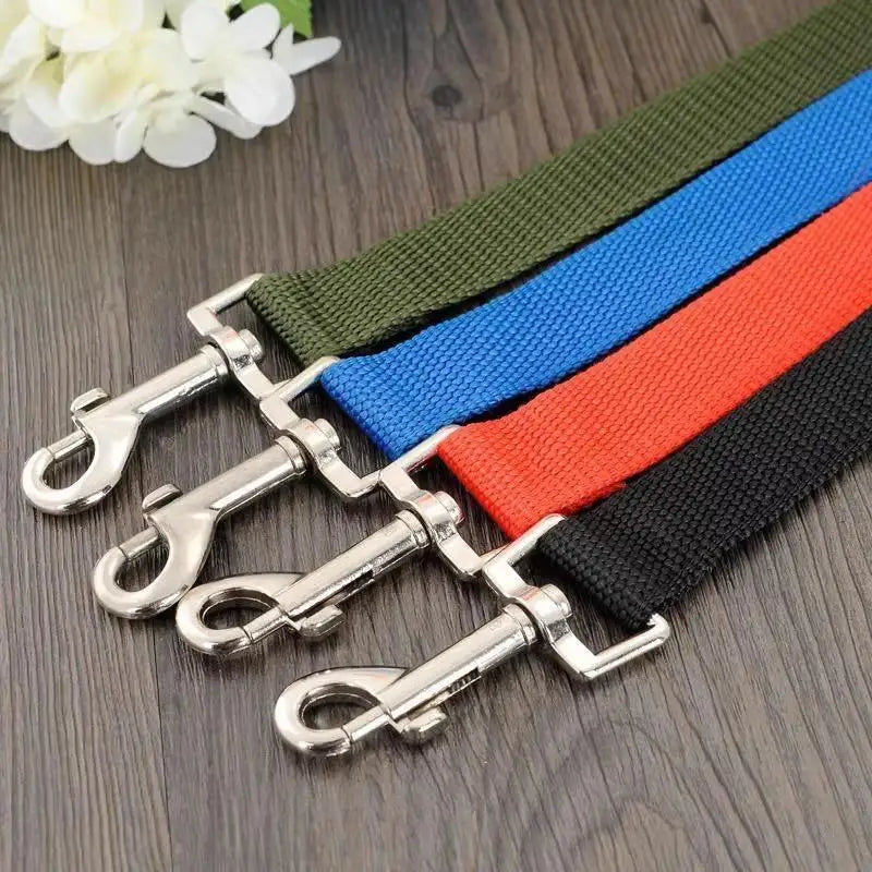laisse pour voiture pour chien