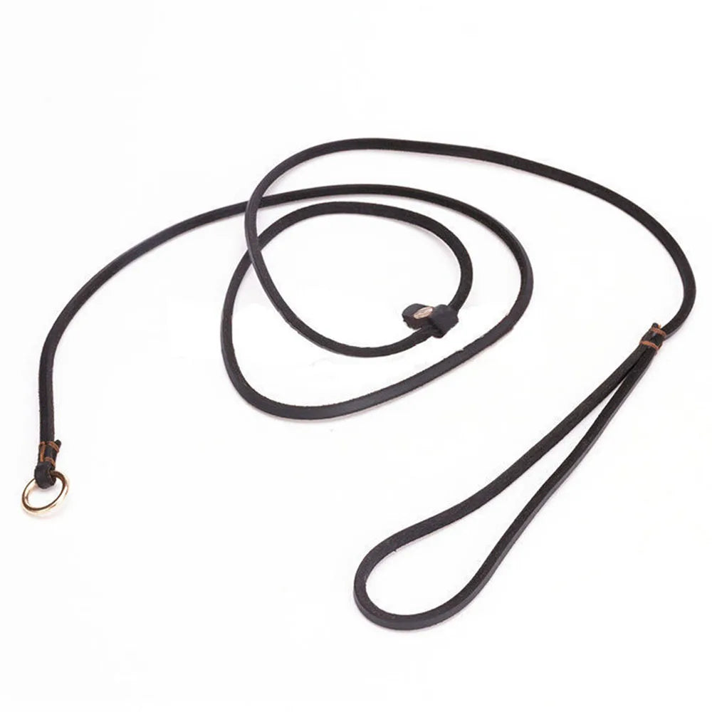 laisse cravate pour chien