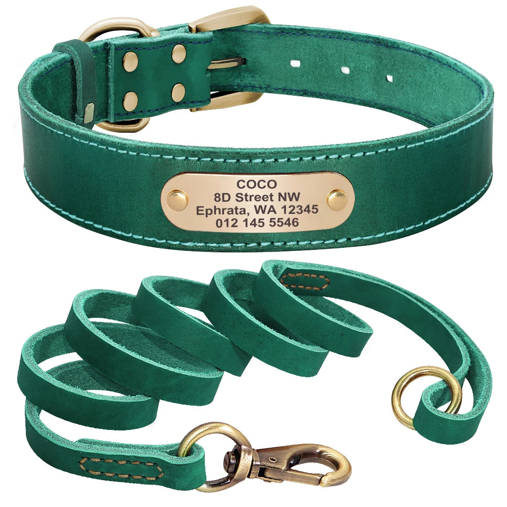 collier epais en cuire avec laisse pour gros chien