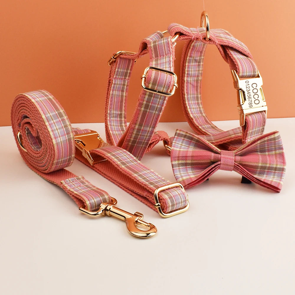 collier et laisse pour chien japonais
