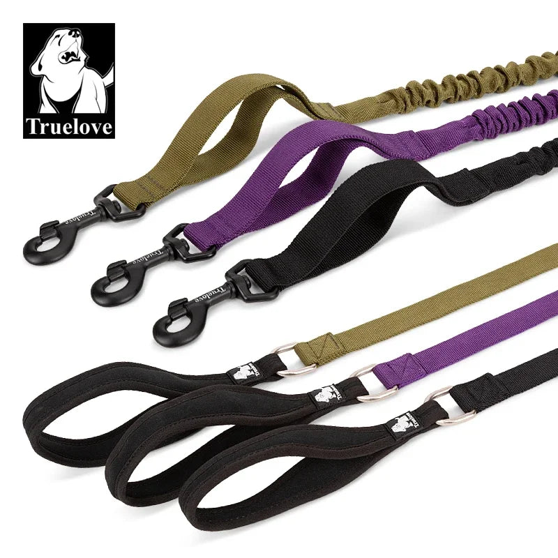 laisse pour chien elastique