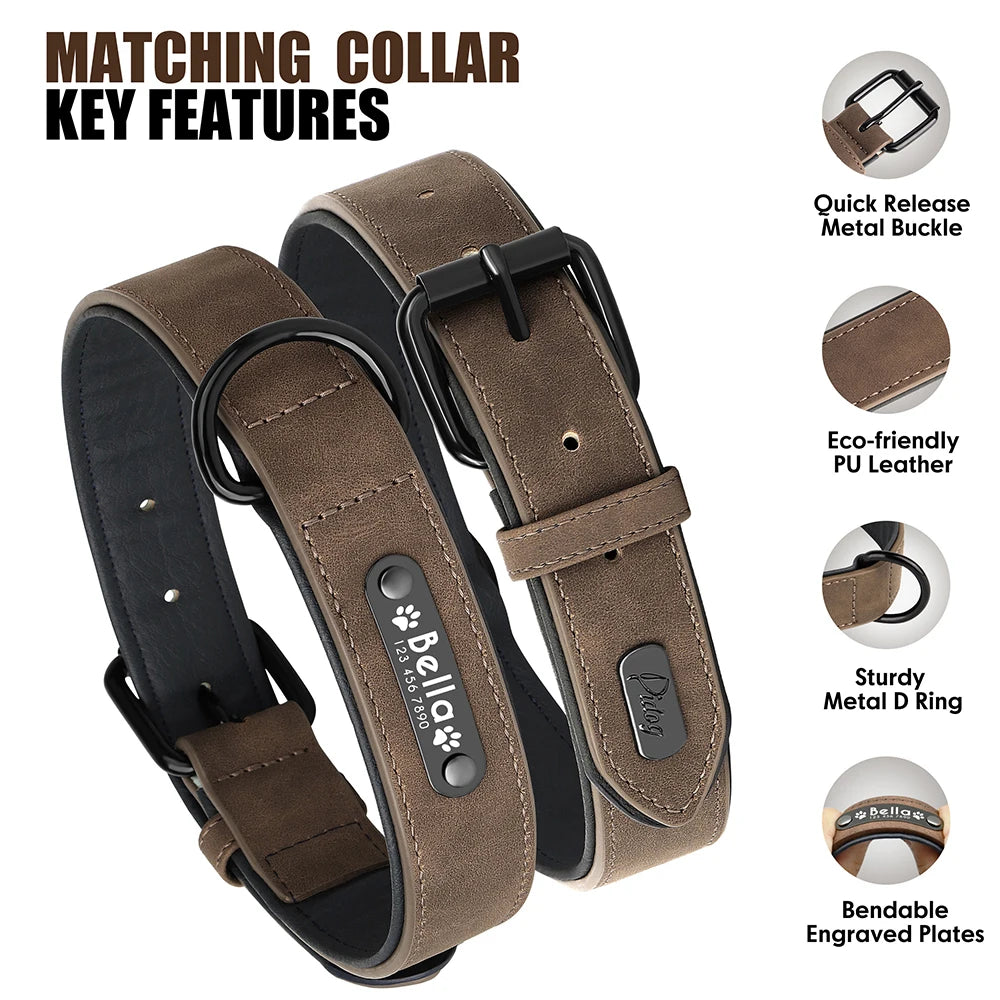 laisse et collier en cuir pour chien