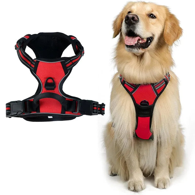 laisse harnais pour chien