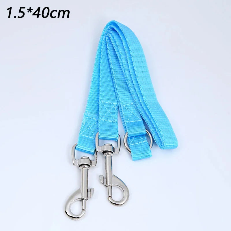 laisse 2 accroche pour chien