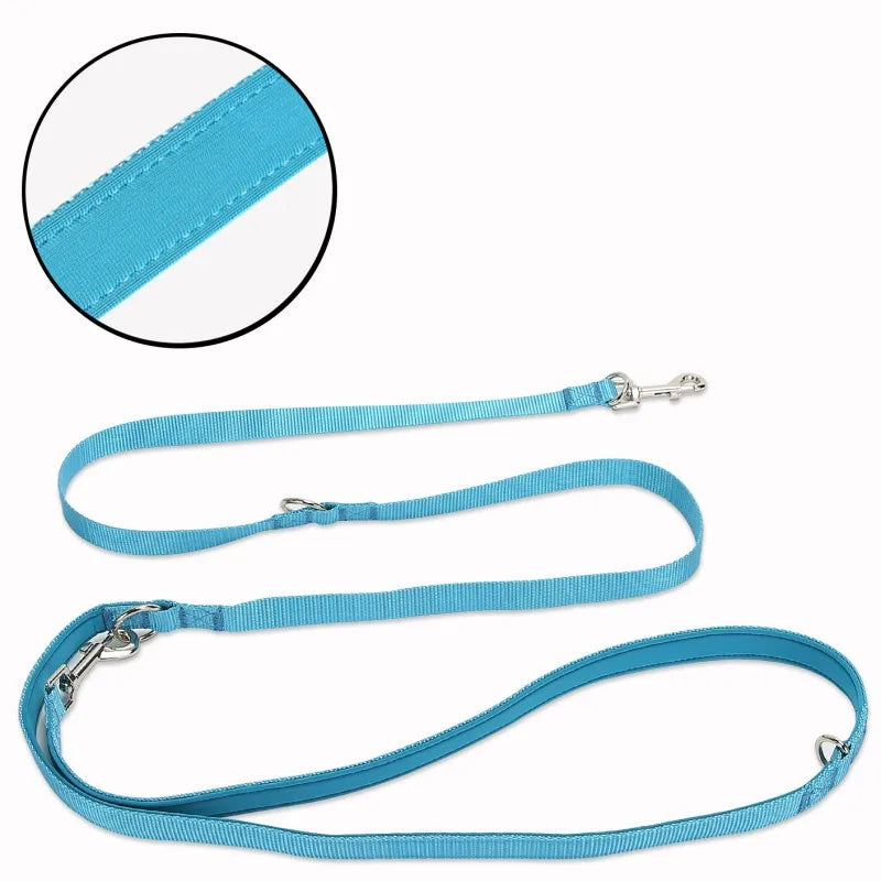 laisse bleu pour chien