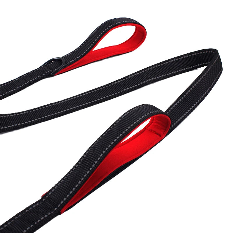 laisse en nylon pour chien