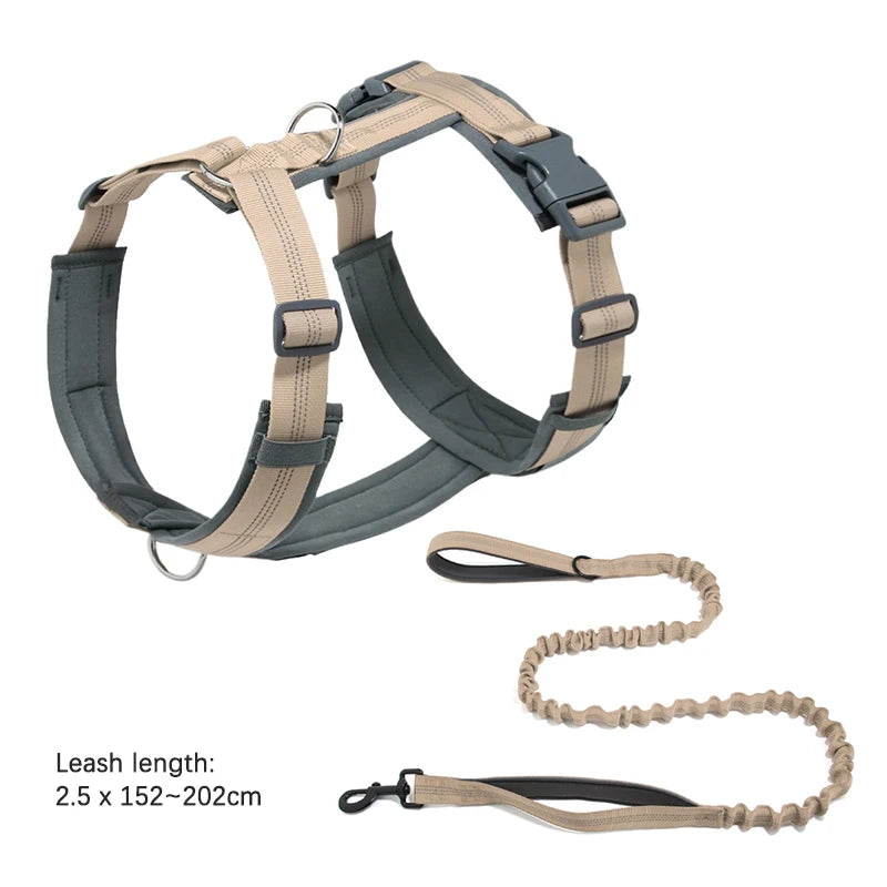 laisse anti fugue pour chien