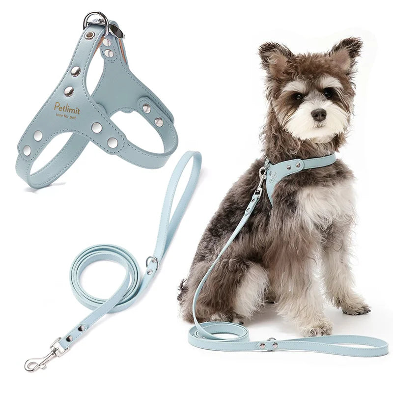 harnais cuir laisse pour petit chien yorkshire