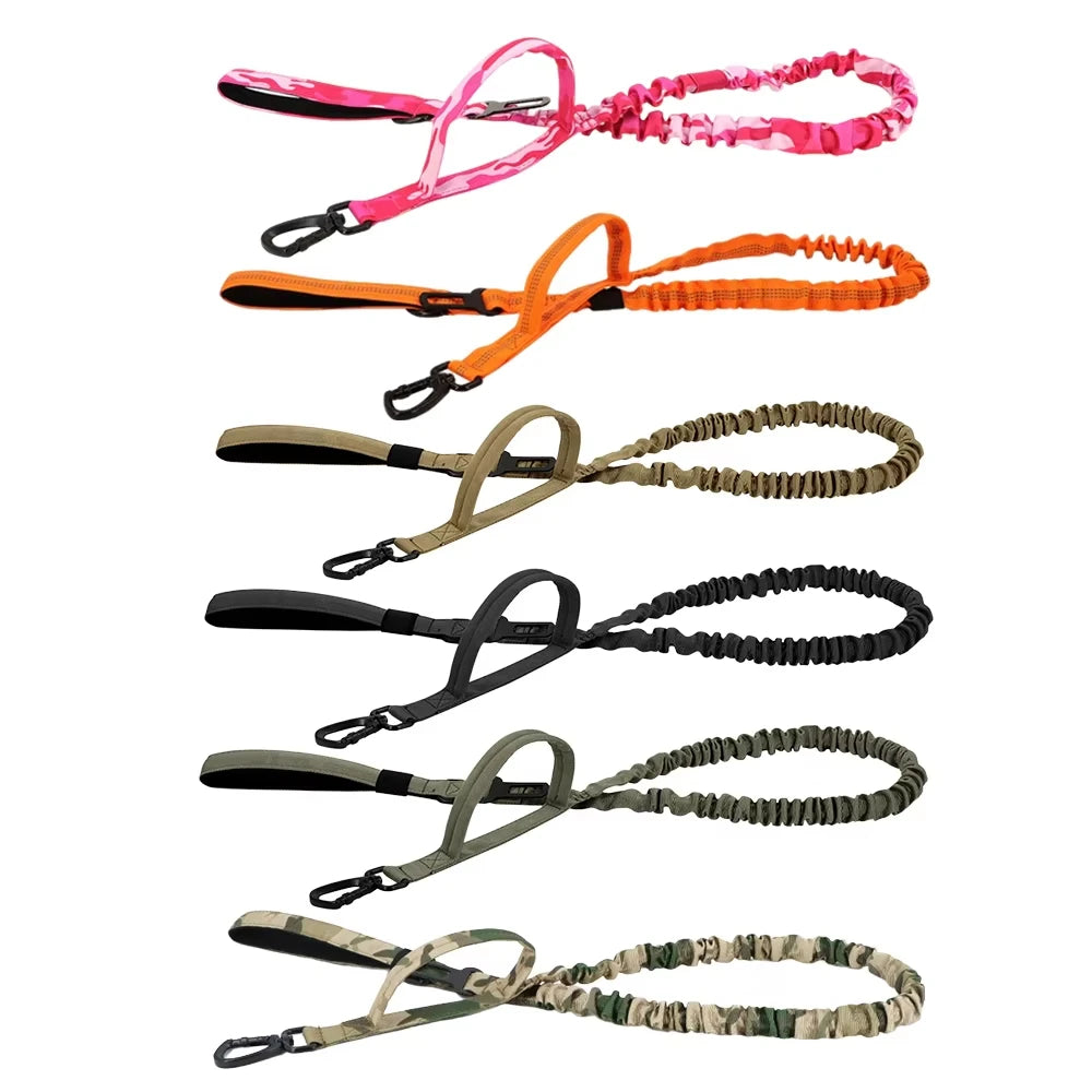 laisse camouflage chien de chasse