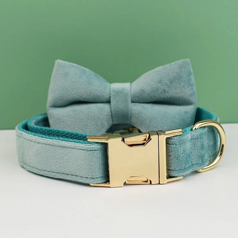 collier et laisse pour chihuahua