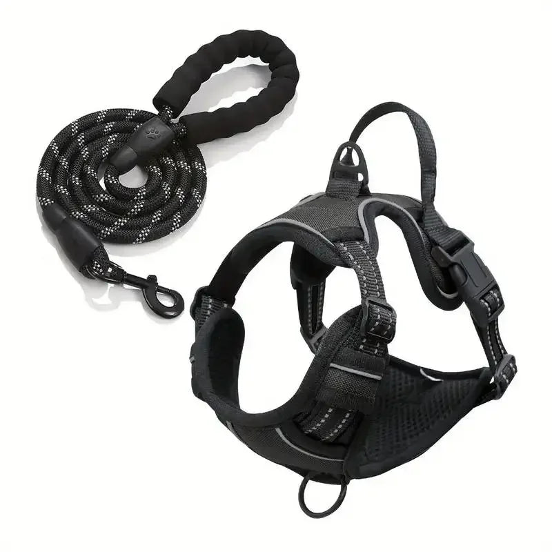 laisse harnais pour chien