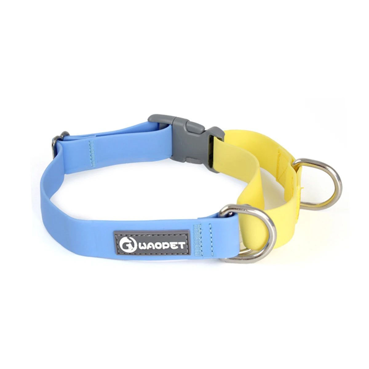 collier et laisse pour chien
