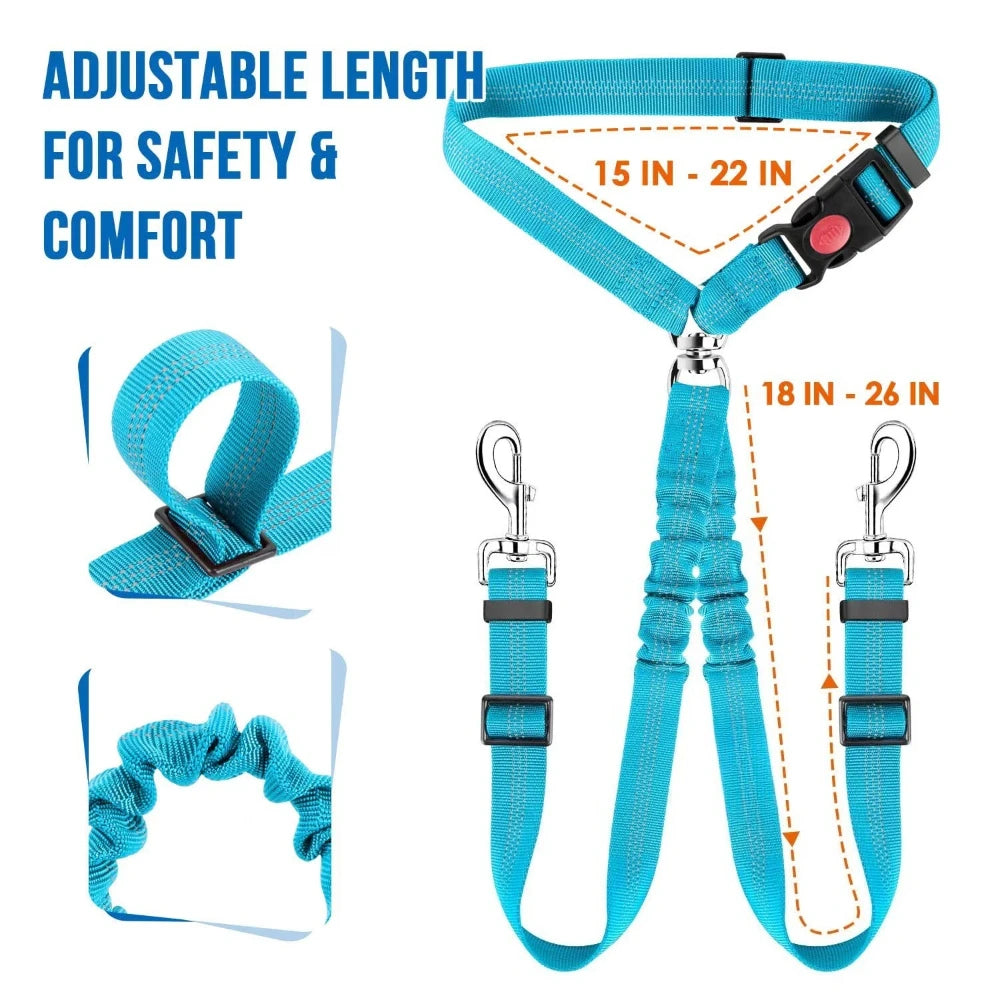 laisse ceinture retractable pour deux petit chien