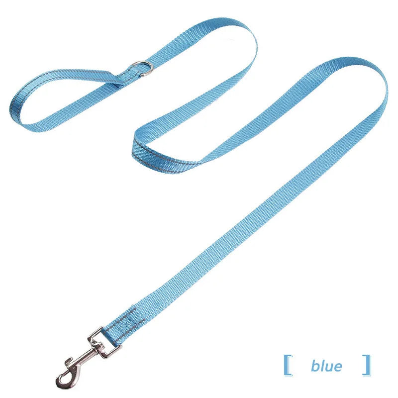 collier et laisse assorti pour chien