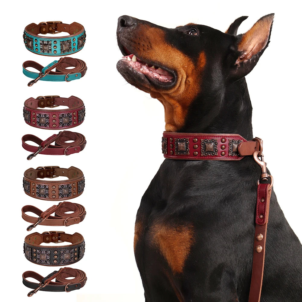 collier et laisse avec bouton pour chien