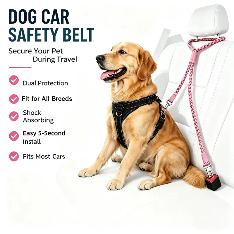 laisse chien pour appuie tete