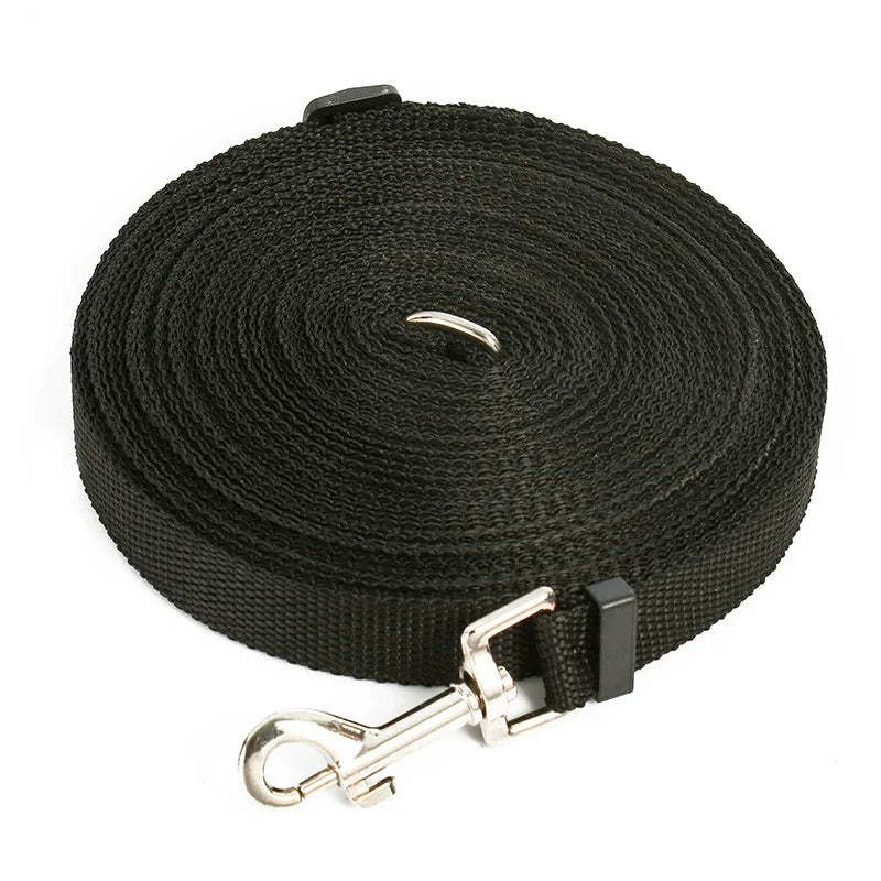 laisse 1m50 pour petit chien